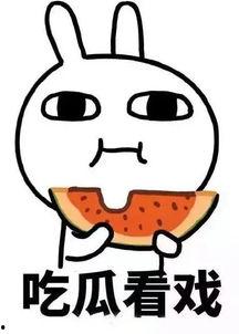 娱乐吃瓜仔er,吃瓜仔er带你探秘明星幕后故事