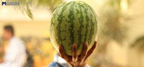 吃瓜事件最新,揭秘网络舆论背后的真相与争议